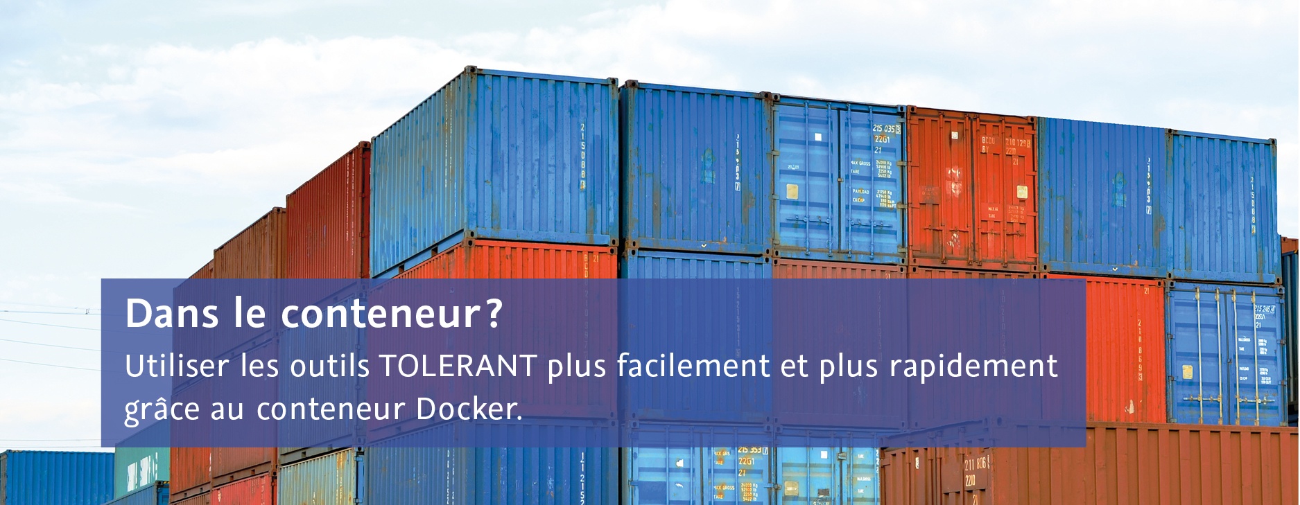 Dans le conteneur? Utiliser les outils TOLERANT plus facilement et plus rapidement grâce au conteneur Docker.