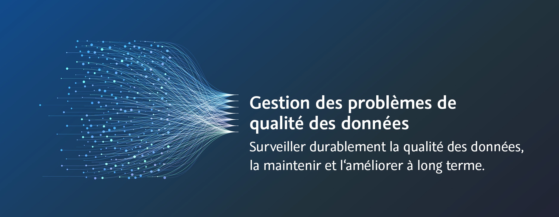 Gestion des problèmes de qualité des données.