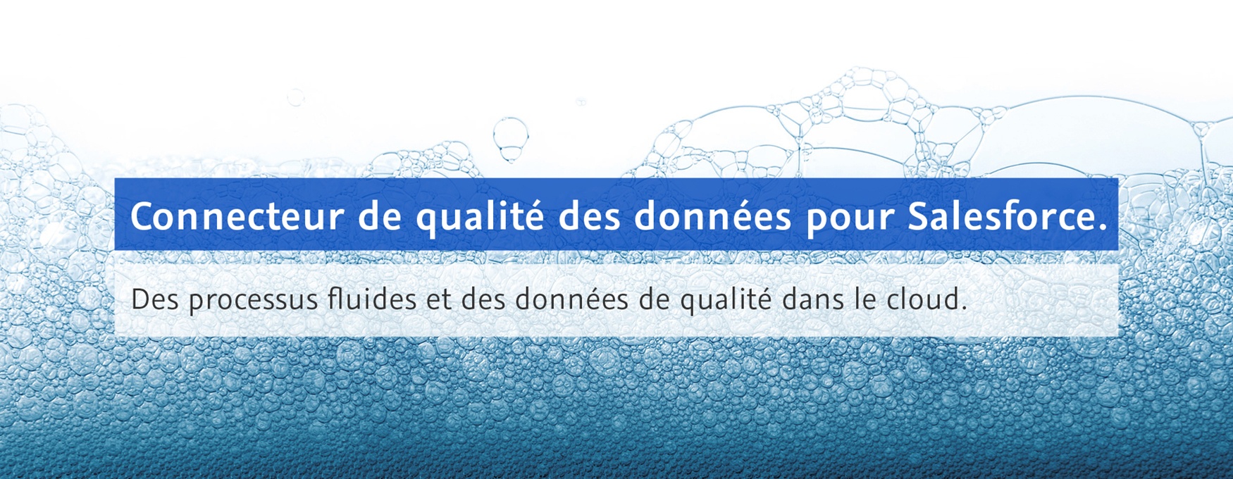 Connecteur de qualité des données pour Salesforce.